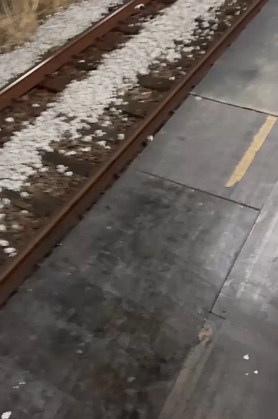 Estação Interlagos